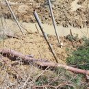 오백농장 이미지