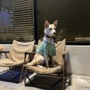 문문라운지 이미지