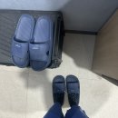 대구 채용신체검사 토요일 당일 발급 후기+ 내돈내산