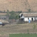 "김정은 만세" 구호 아래…소 끌고 밭 가는 北 현실 이미지