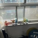 고도피티(GODOPT) 이미지