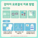 풍동동물병원 이미지