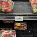 지샵안경 이미지