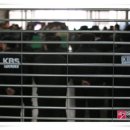 MBC, KBS 파업집회 이어가.. ‘갈수록 기세등등’ 2012-03-07 이미지