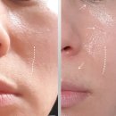 (주)세하라인 이미지