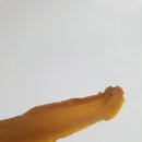 바른무역 이미지