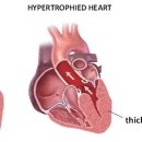 이루다 동물병원 이미지