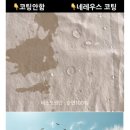 묘한 한땀 이미지