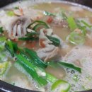 아포국밥