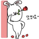 세종맑은약국 이미지