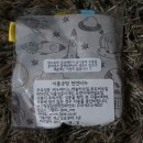 이플어린이집 이미지