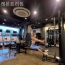 레몬트리짐 이미지