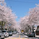 공마당길 이미지