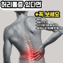 동아의료기 | 허리통증이 있다면 병원가기 전에 꼭 보세요(허리디스크 협착증이 있어도)