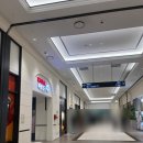 마곡세탁 | 다이소 마곡나루역 방문 후기, 매장 규모부터 추천템까지 정리