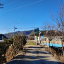 효석문학100리길 제2구간 이미지