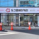 도그몽 베이커리 네이버블로그