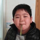 호뚜기 네이버블로그