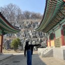 쏘야네 이미지