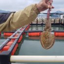 돌산해양낚시공원낚시터 이미지