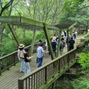 바우정원 이미지