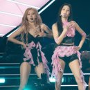 지올팍 카카오 검색결과