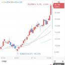 에코마린코리아 이미지