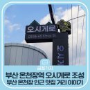 오시게로 이미지