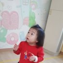 그루터기어린이집 이미지