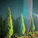 새순1농장 이미지