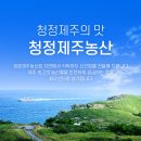 청정제주농산 이미지