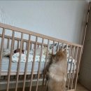 친정맘 네이버블로그