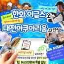 대전아쿠아리움 이미지