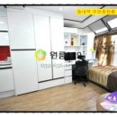 서련코아 이미지