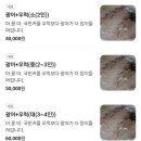 자양동포차 네이버블로그
