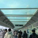 지에스칼텍스(주) 효재주유소 | [가족 여행] 제주도 특별한 렌트카 이용 후기🚗