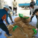 포천시농업기술센터 이미지