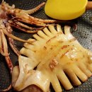 싱싱농수산물