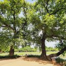 햇살공원 이미지