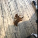 단발 태슬컷 후기 + 지난 2년간 헤어스타일 기록