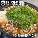 노랑통닭 평택고덕점 | 평택 고덕맛집 [청담뼈해장직화찜] 솔직 후기