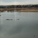 에코 놀이터 이미지