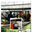 큰집농장 이미지