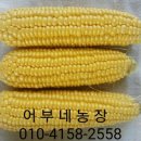 어부네농장 이미지