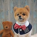 아띠그루밍 이미지