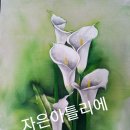청보리공방 이미지