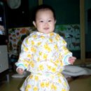 노랑병아리 이미지