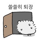 스타애견 이미지