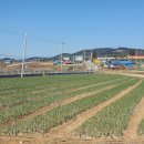 당산4리 마을회관 티스토리