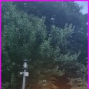 숲과 개울 펜션 이미지